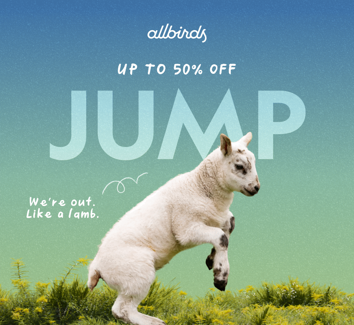 Up To 50% OFF