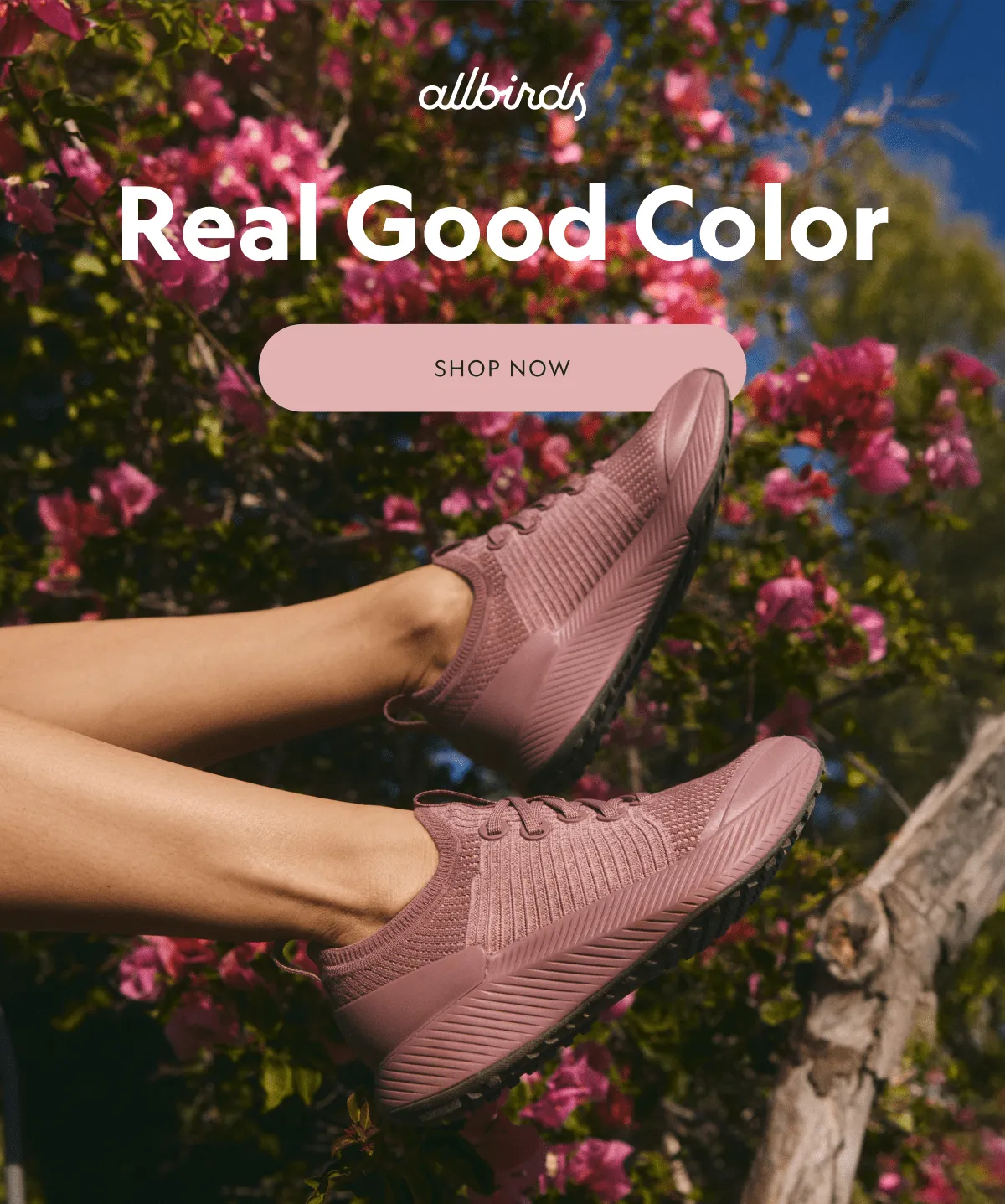 Real Good Color