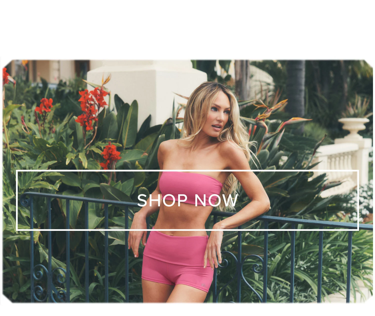 SHOP NOW
