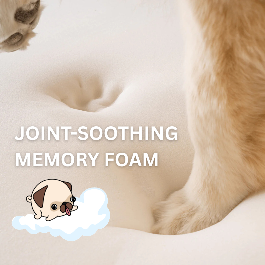 Memory Foam