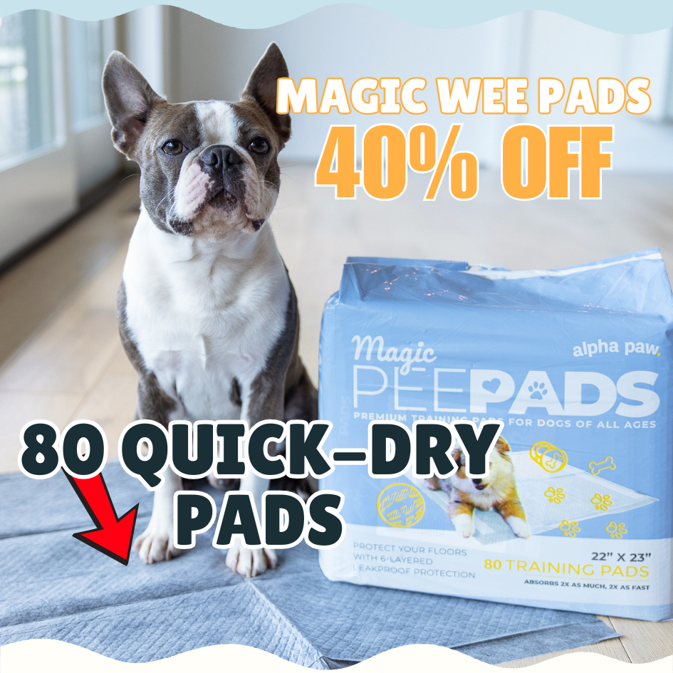 Magic Pad