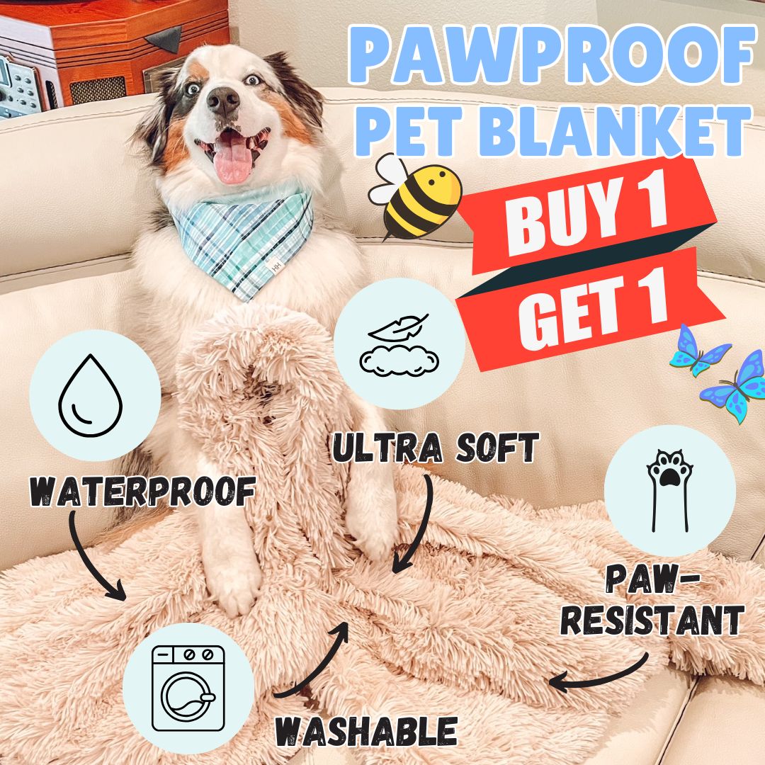 Pawproof pet blanket