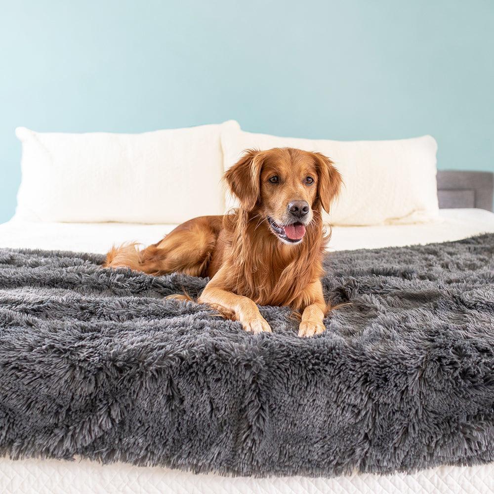 Pawproof pet blanket