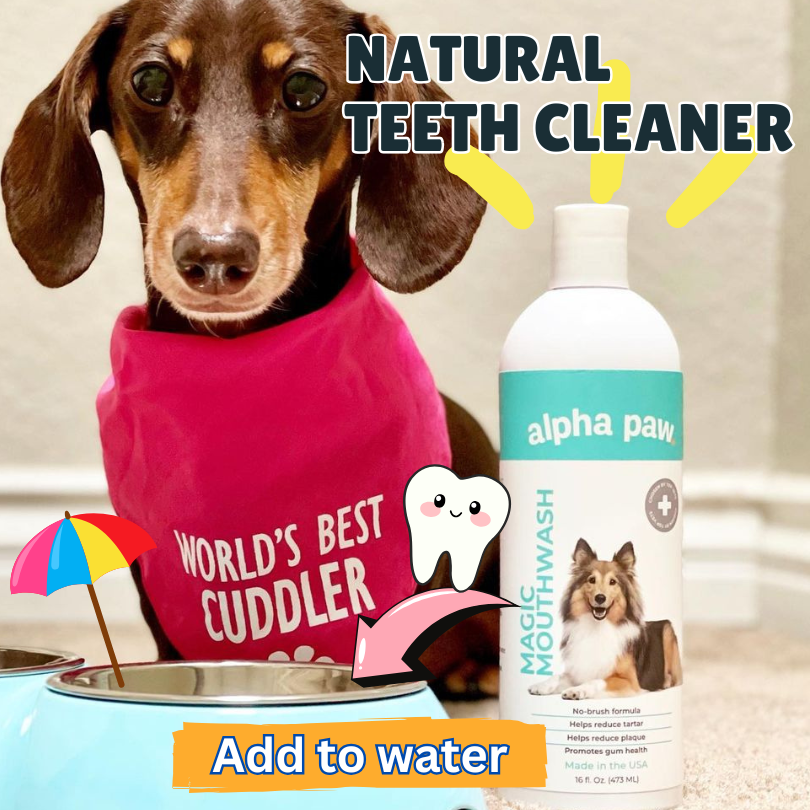 Better Doggie Dental