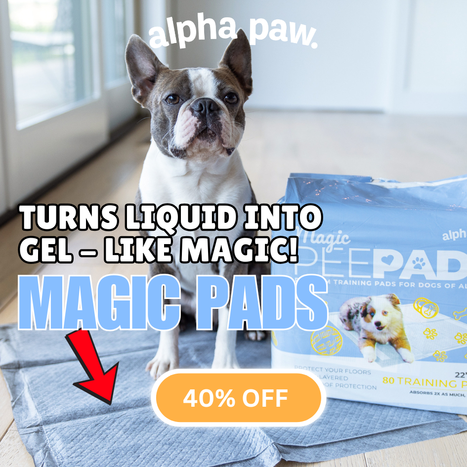 Magic Pads
