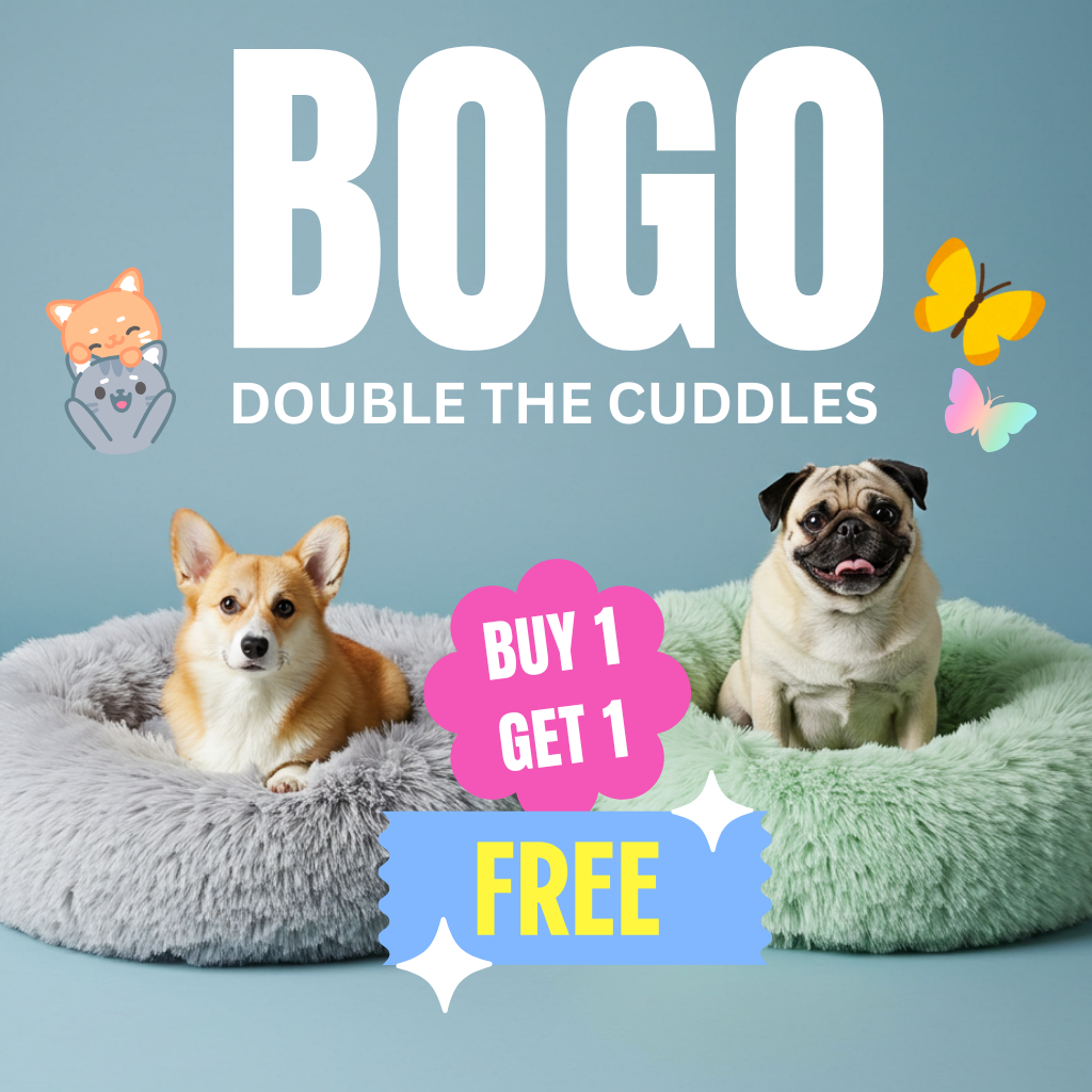 BOGO Beds