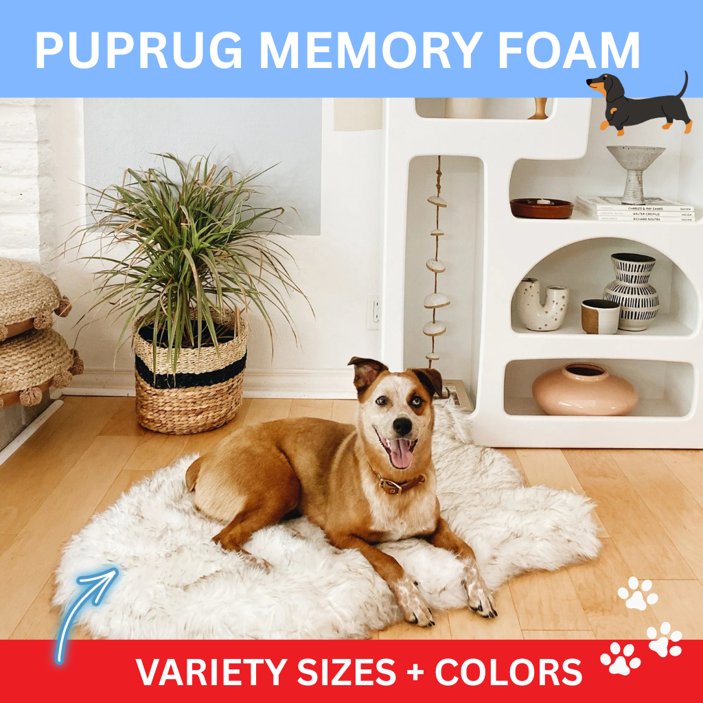 PupRug Colors