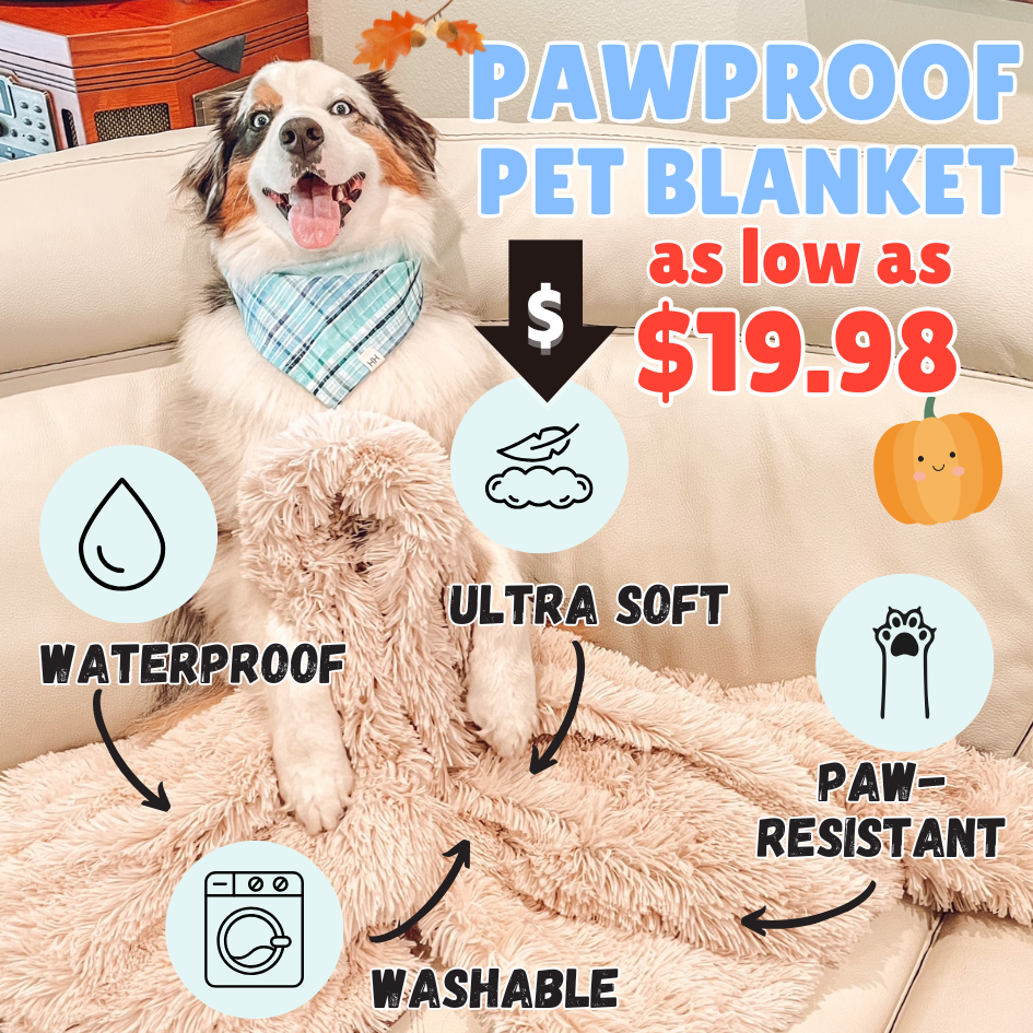Pawproof pet blanket
