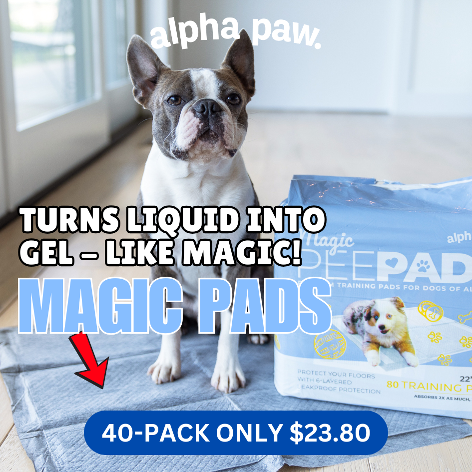 Magic Pads