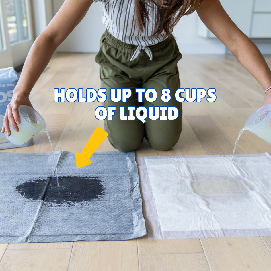 Holds up to 8 cups