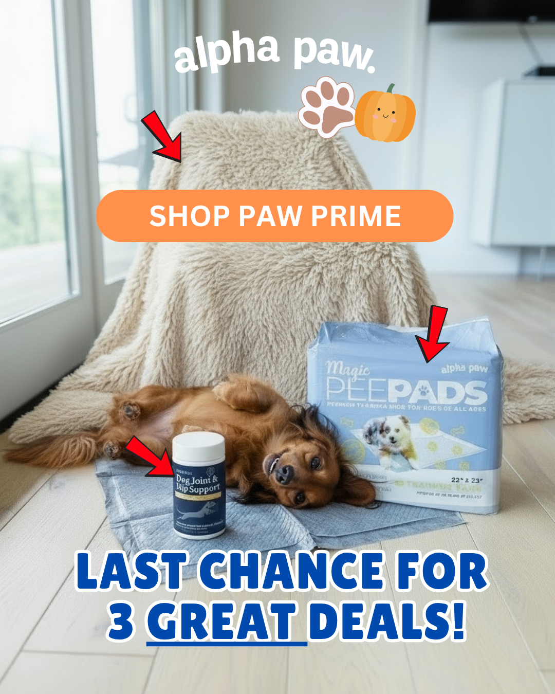 Paw Prime