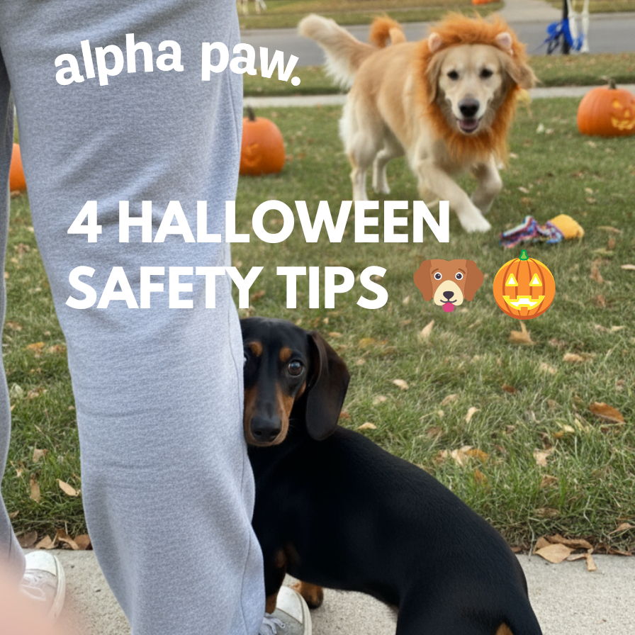Halloween tips
