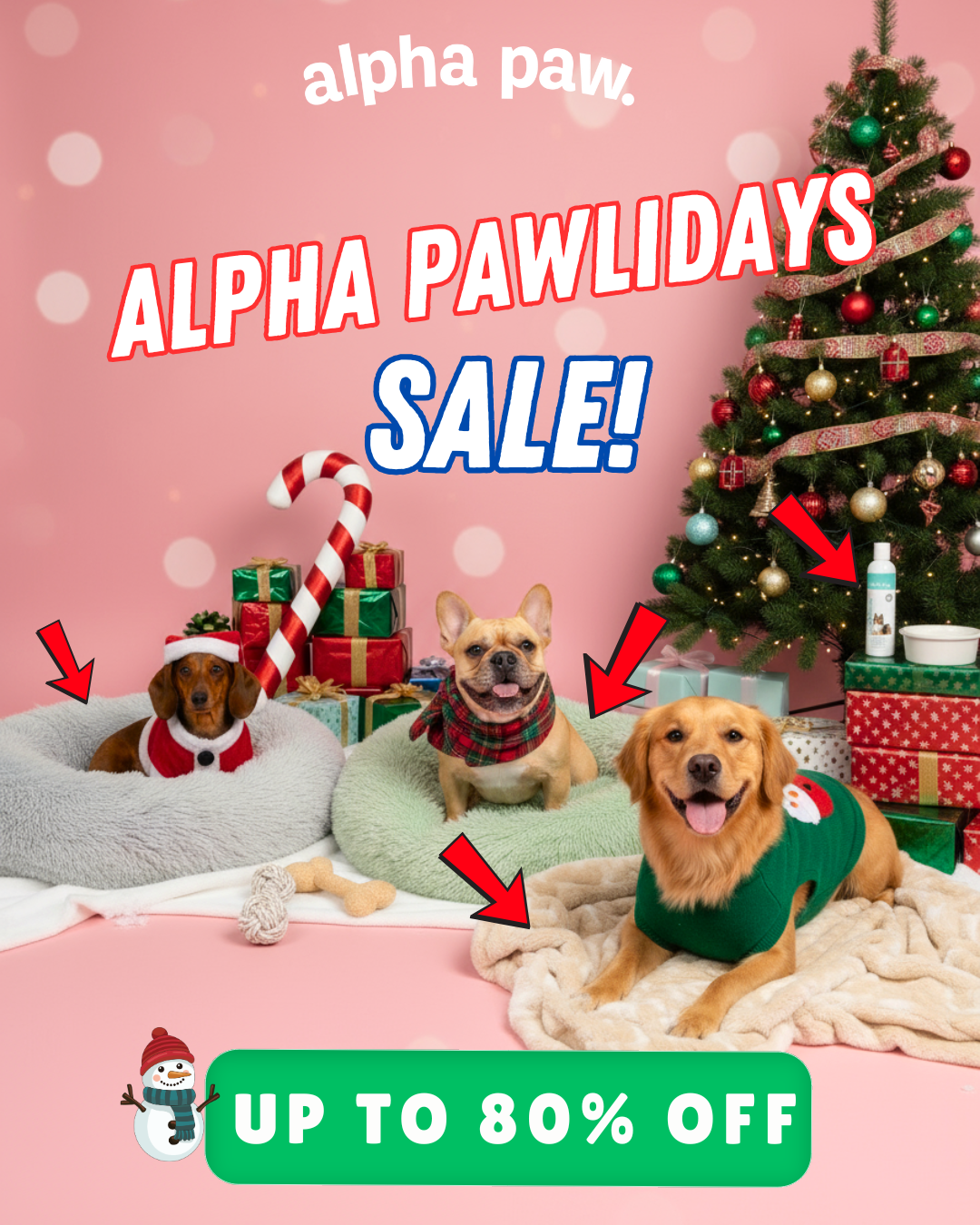 Happy Pawlidays