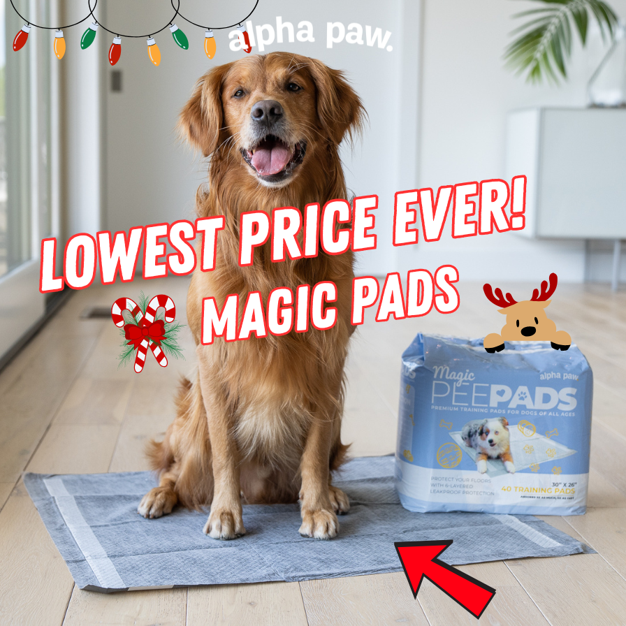 Pawliday Pads
