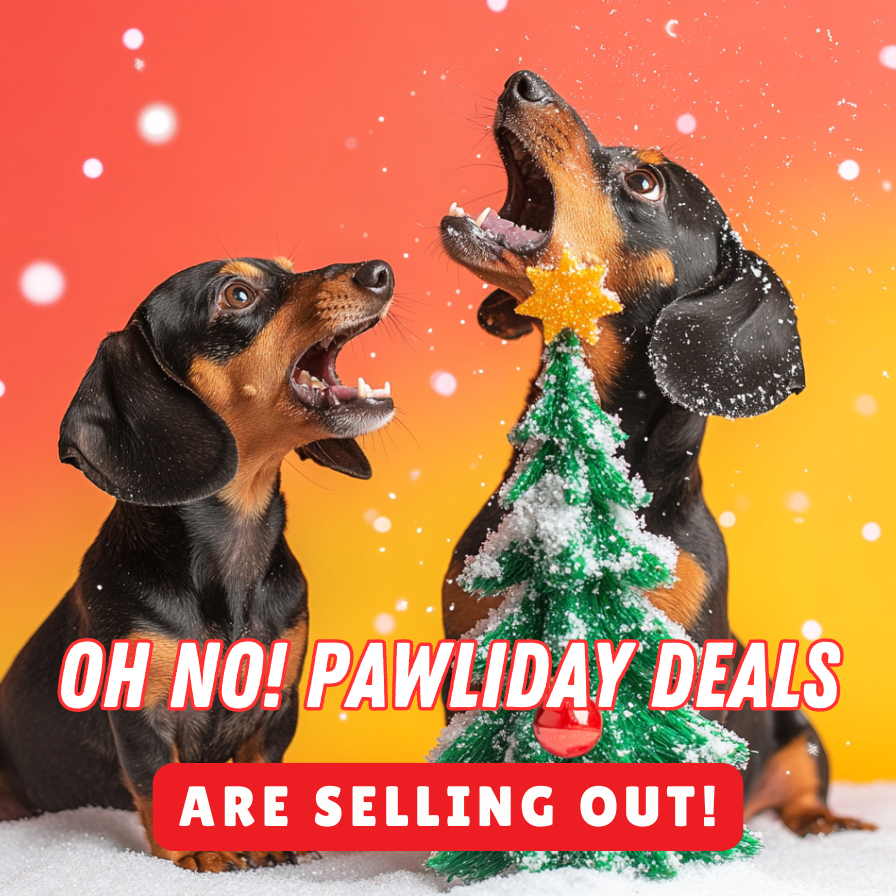 Pawlidays