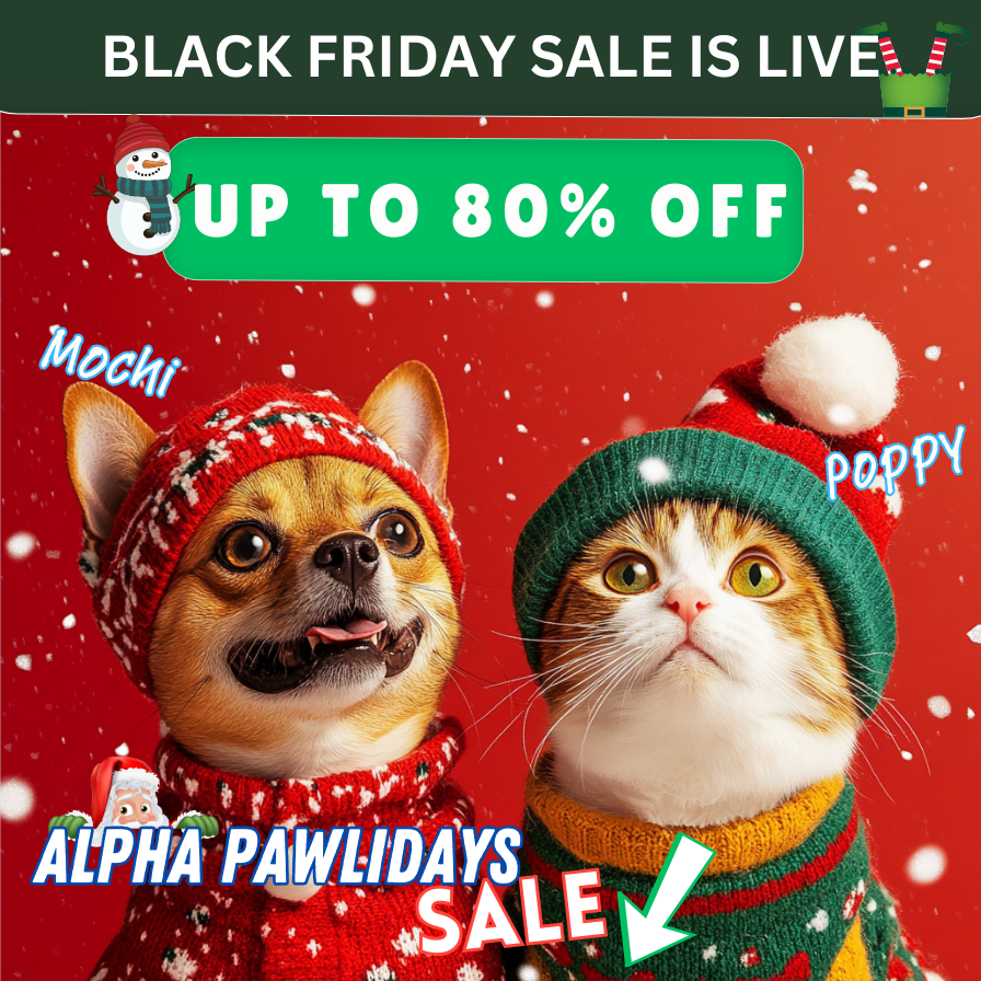 Pawlidays