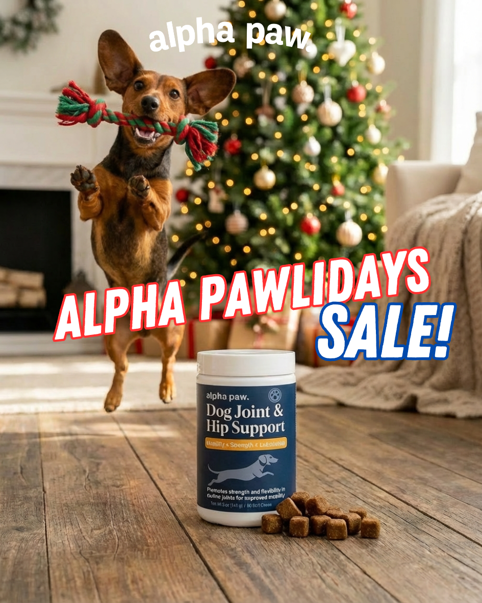 Pawlidays