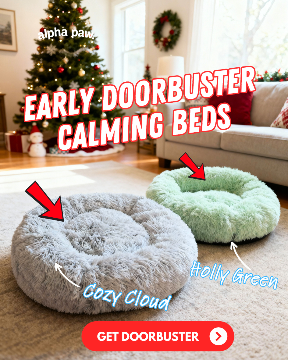 Cozy Beds