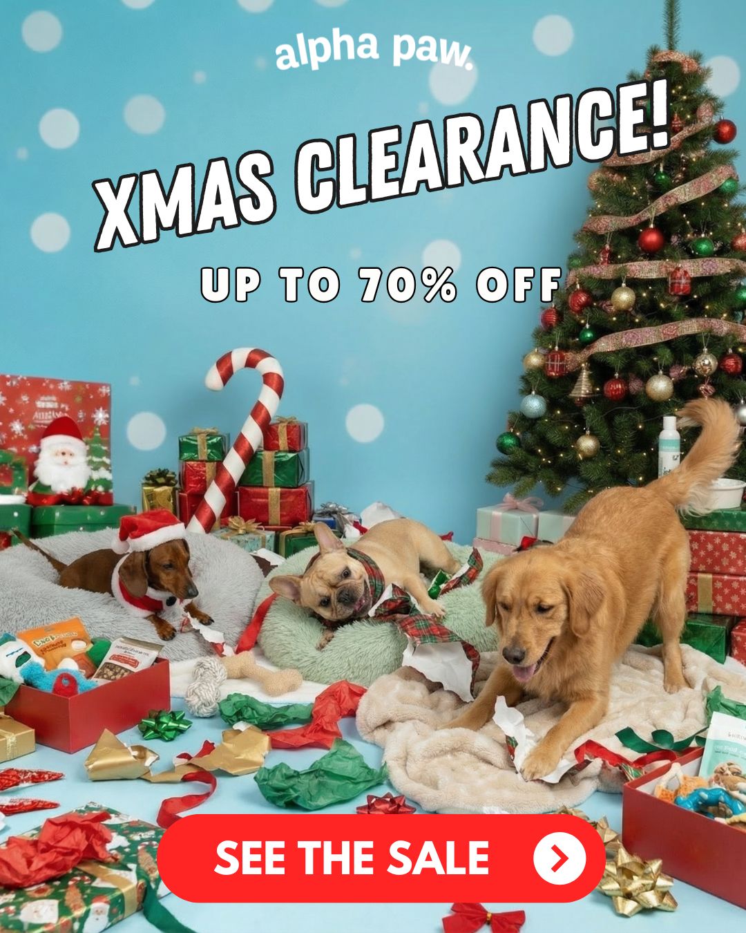 Alpha Pawlidays