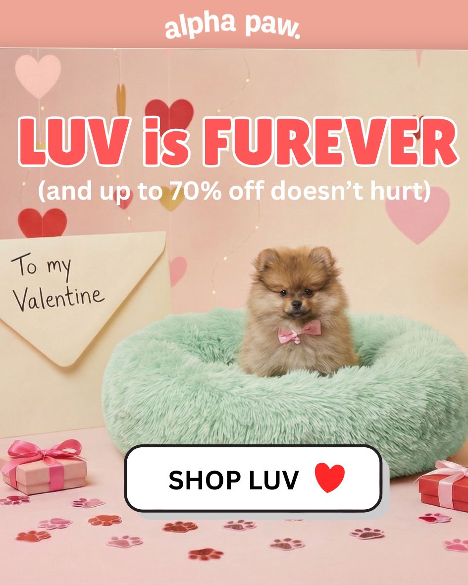 Luv is Furever