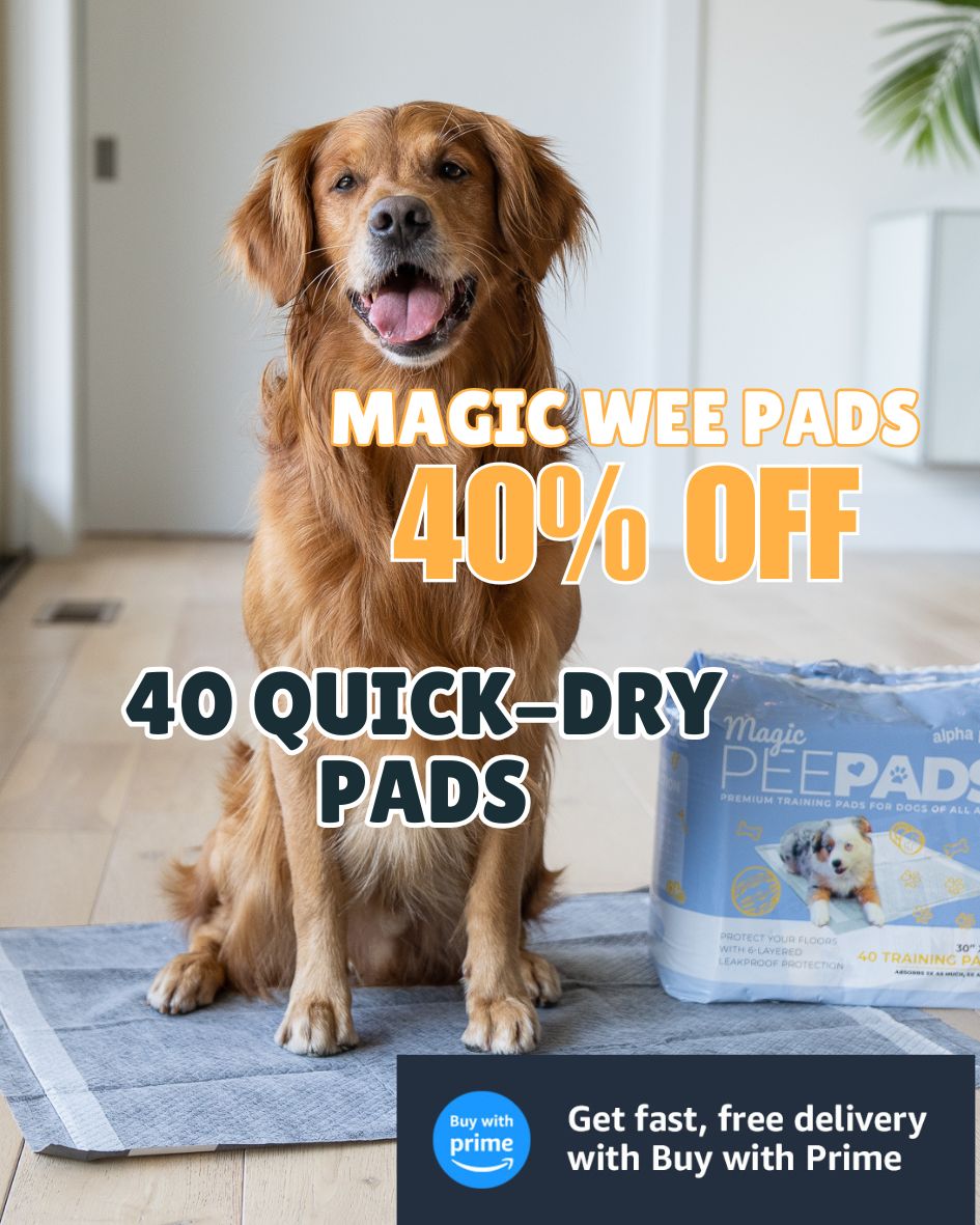 Magic Pads