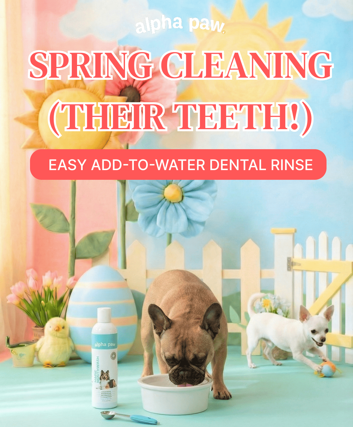 Spring Clean