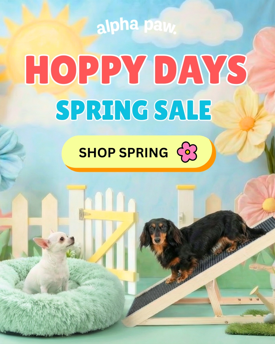 Hoppy Days