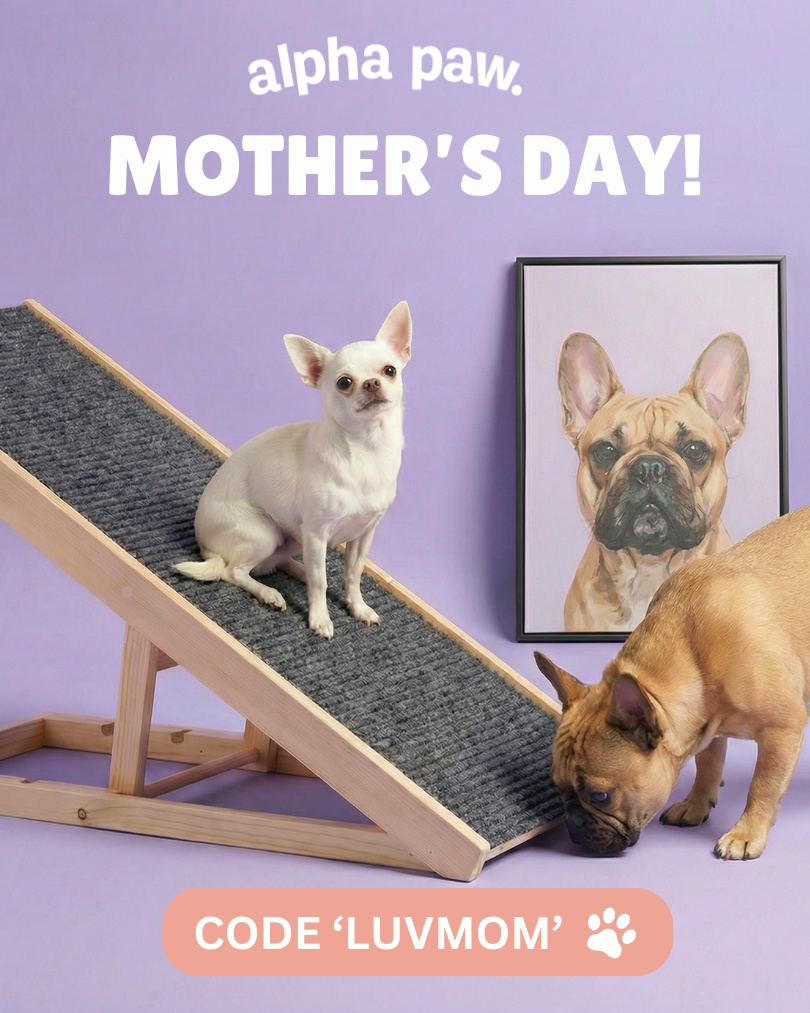 Alpha Paw Luv Mom