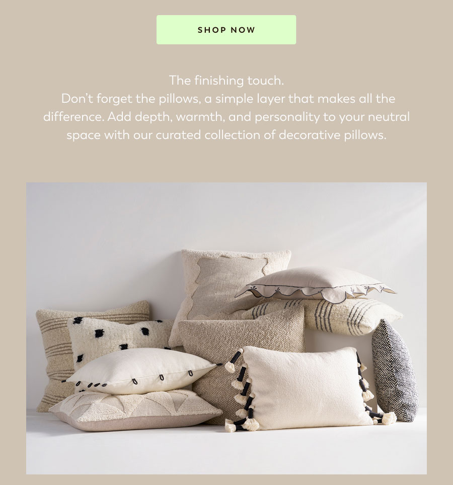 Shop Pillows