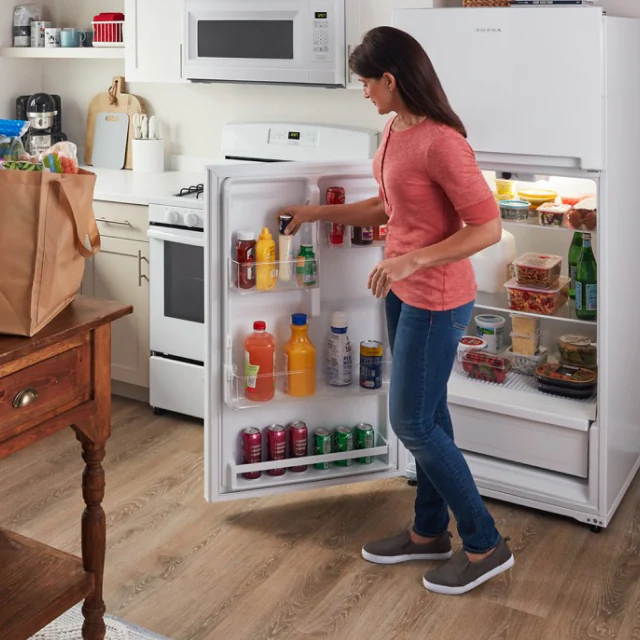 PERSON PUTTING THINGS IN A REFRIGERATOR