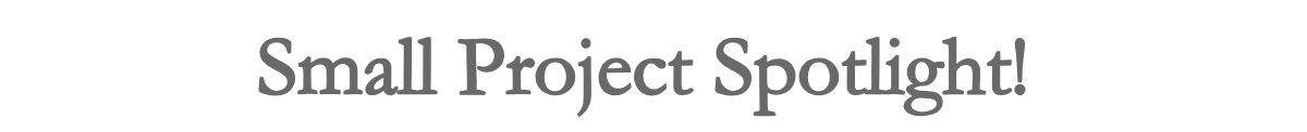 Small Project Spotlight!&nbsp;