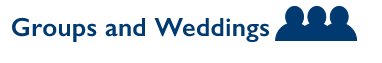 Groups icon