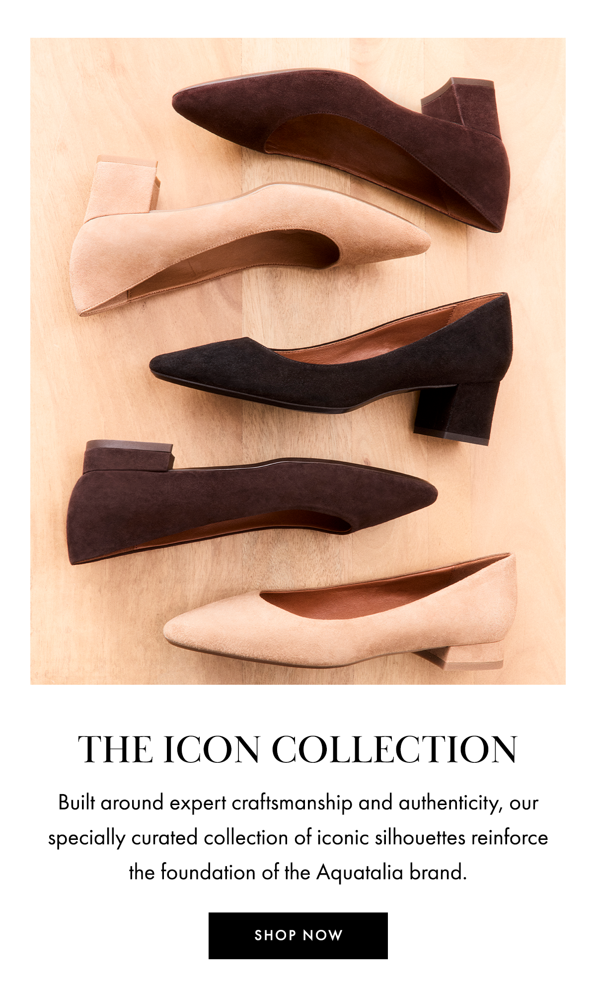 The Icon Collection