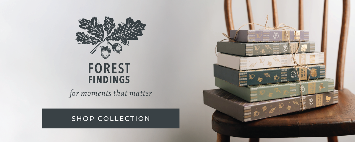 Shop Our Latest Fall Collection