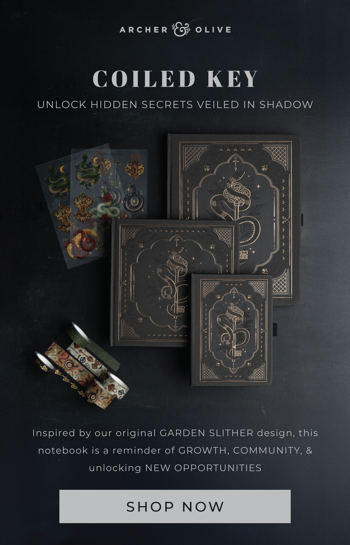 Shop the Coiled Key Collection