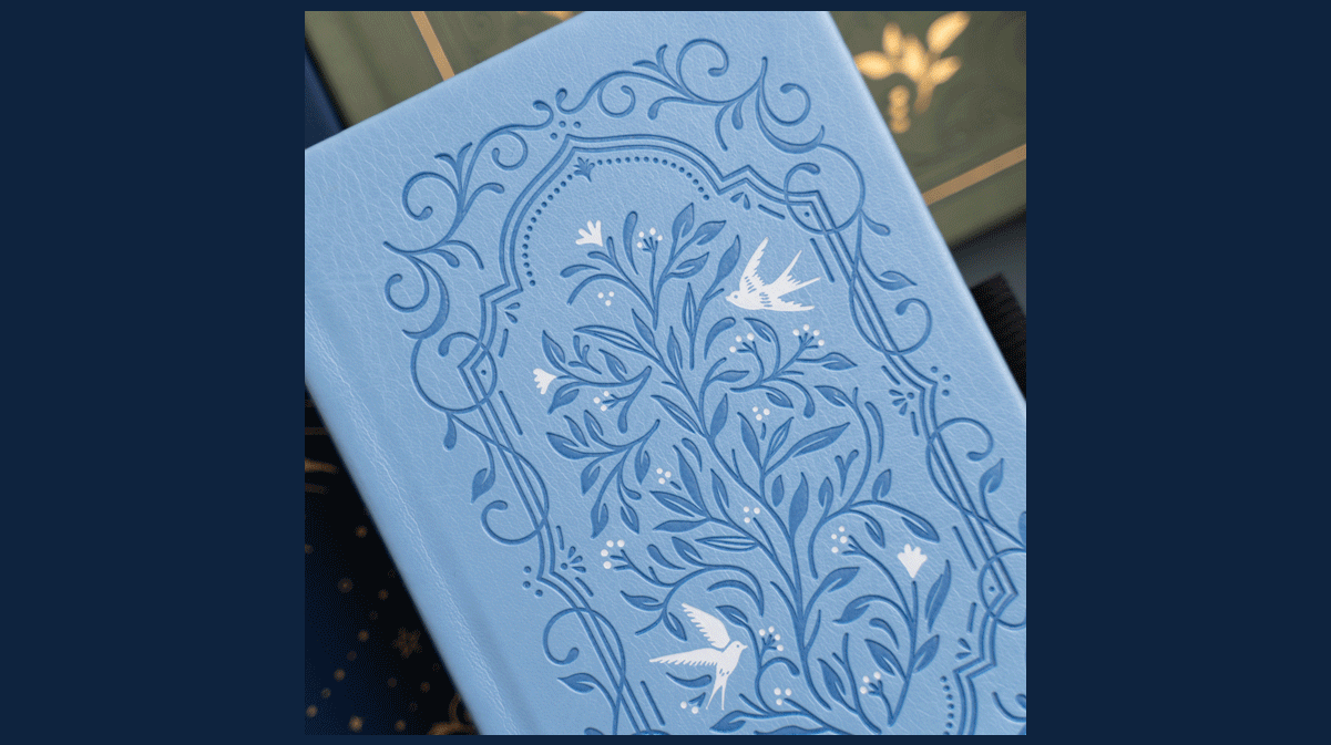 Our songbird notebook in blue