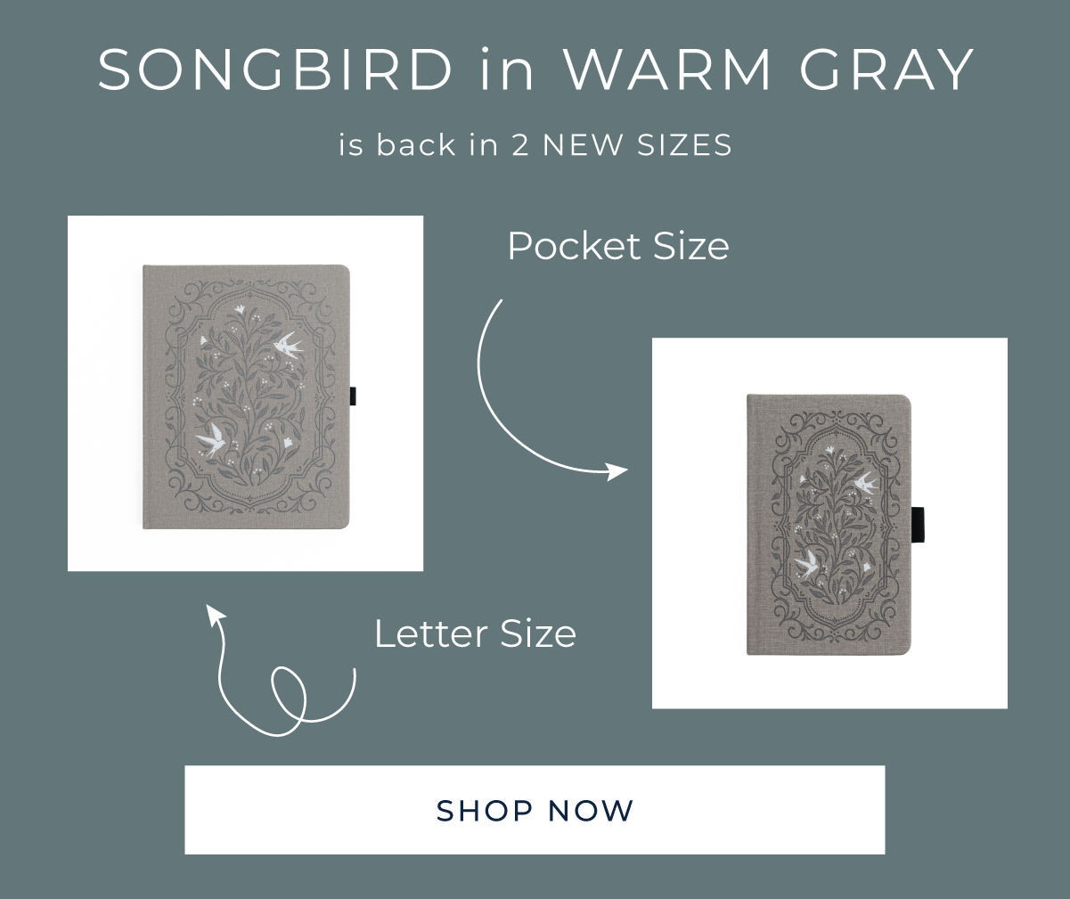 Songbird in warm gray