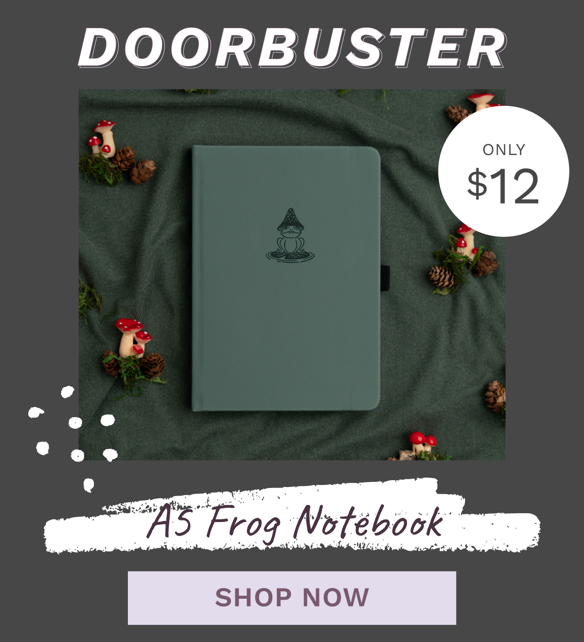 Shop the Doorbuster! 