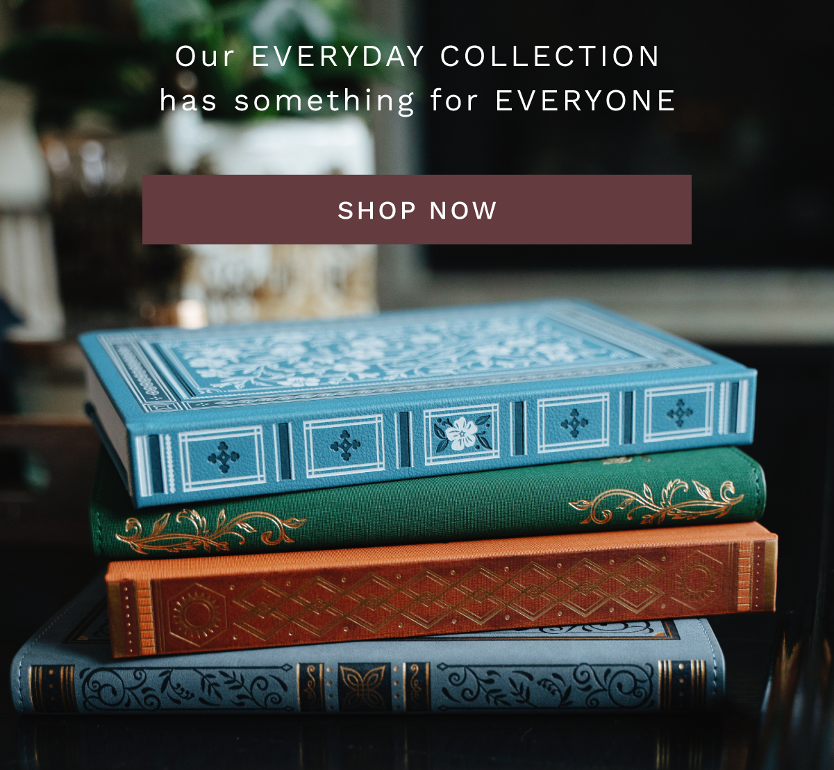 Shop Our NEW Everyday Collection 