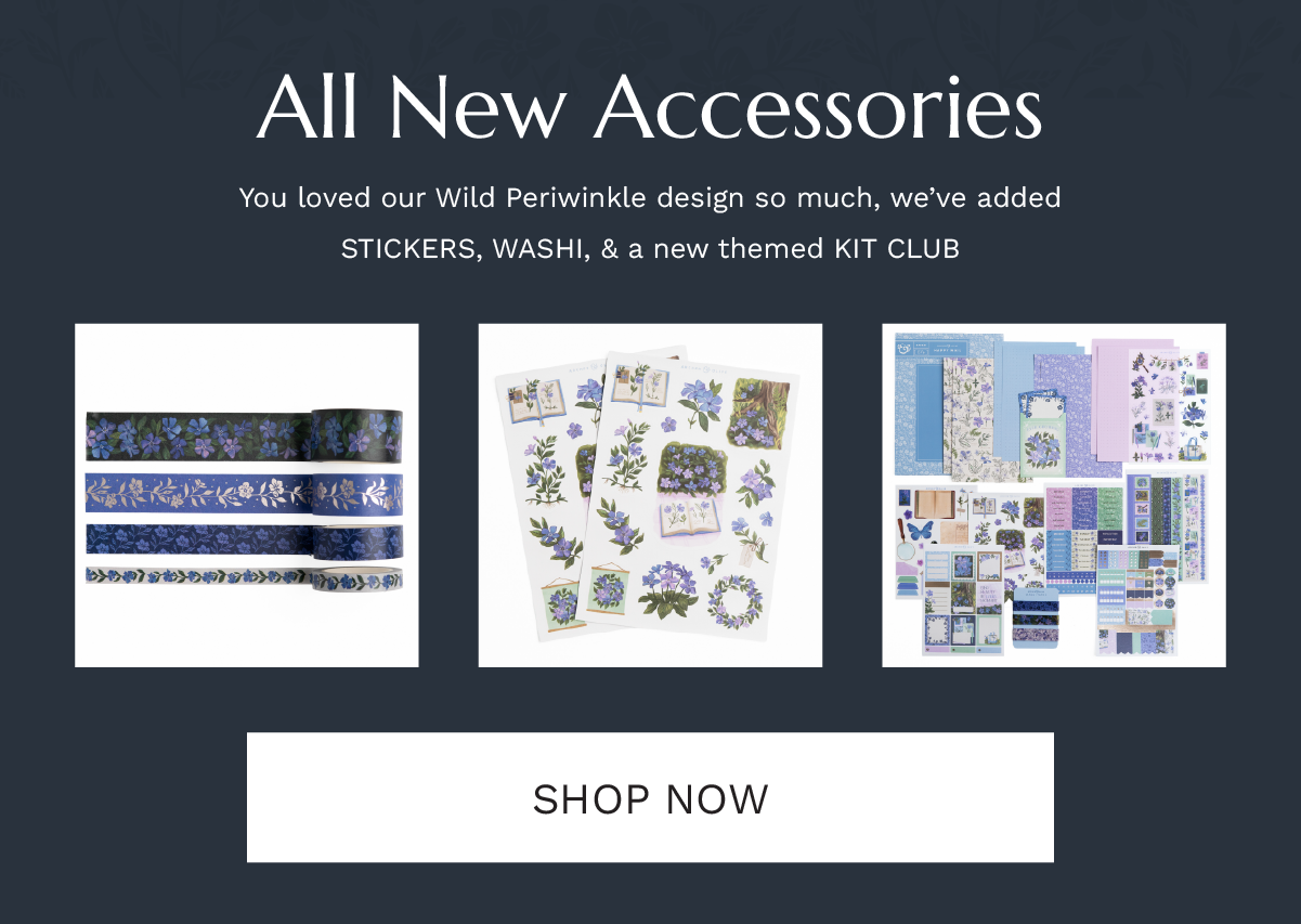 Wild Periwinkle Accessories