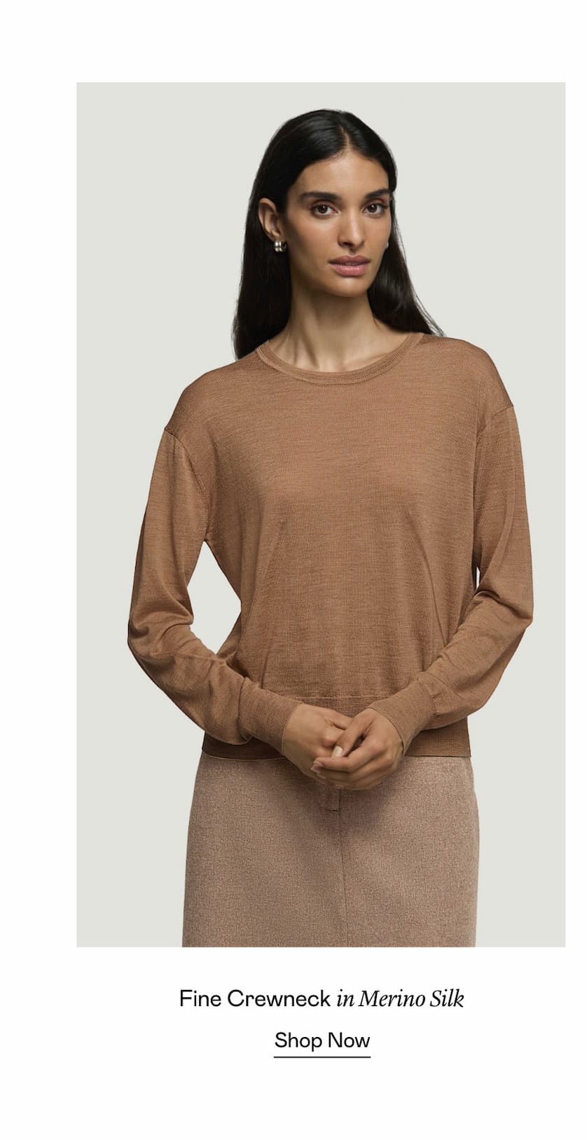 Fine Crewneck in Merino Silk