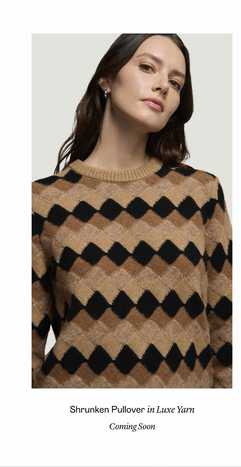 Shrunken Pullover in Luxe Yarn