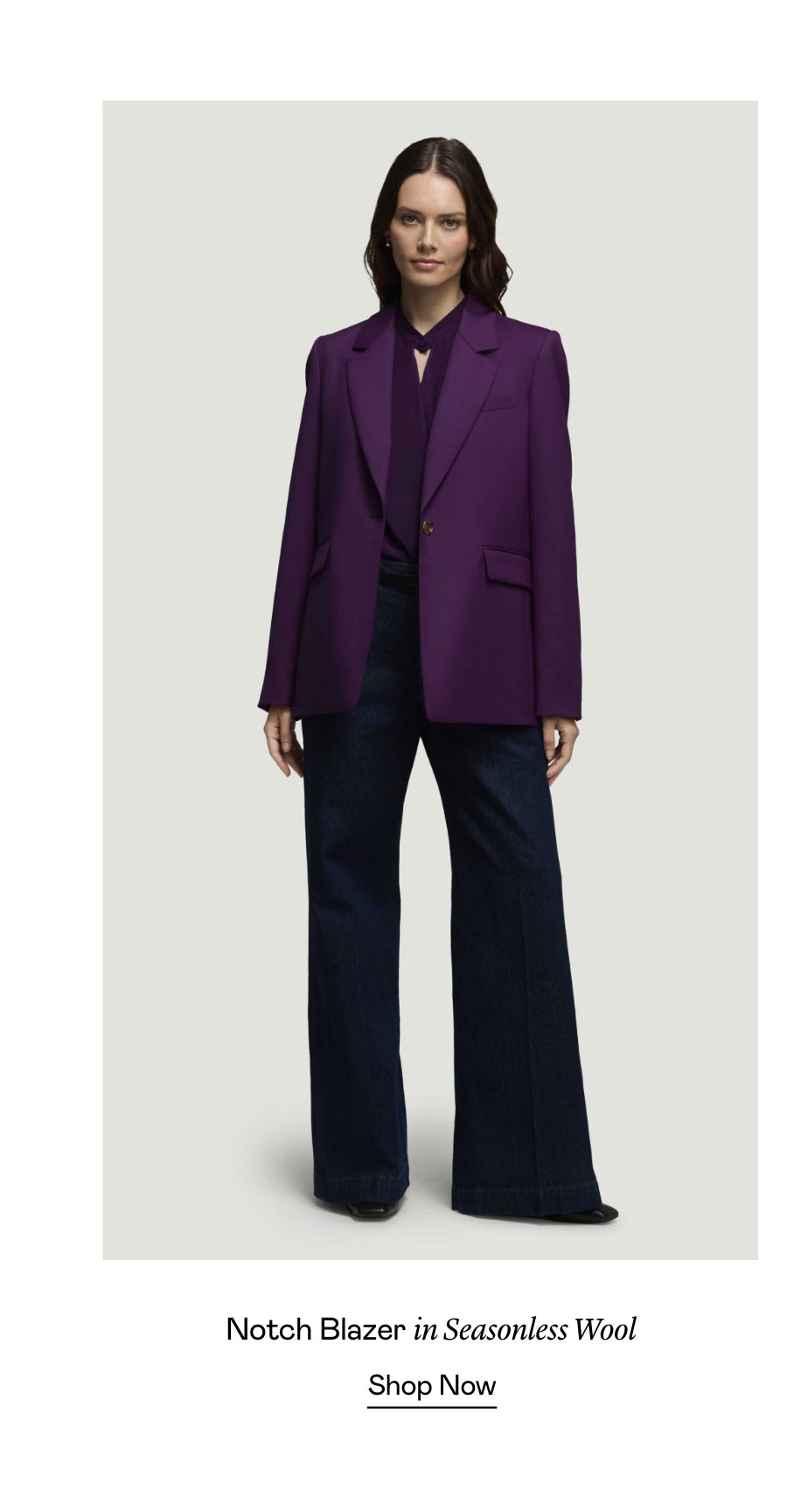 Notch Blazer in Seasonless Wool