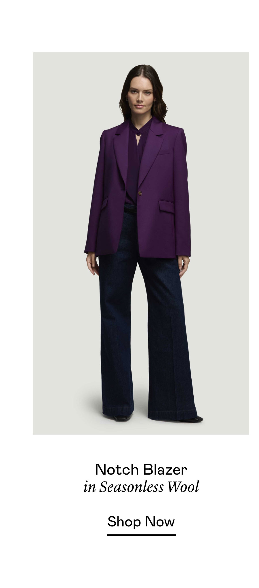 Notch Blazer in Seasonless Wool