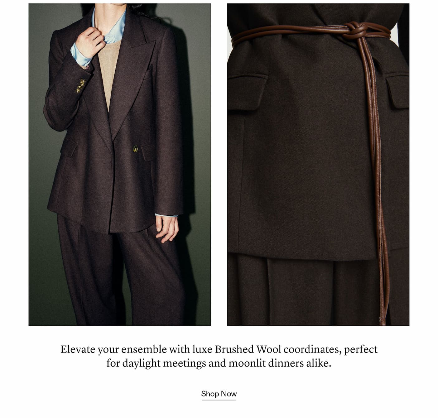 Shop Brushed Wool