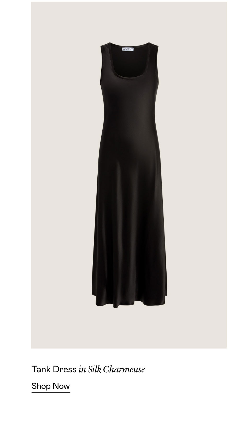 Tank Dress in Silk Charmeuse