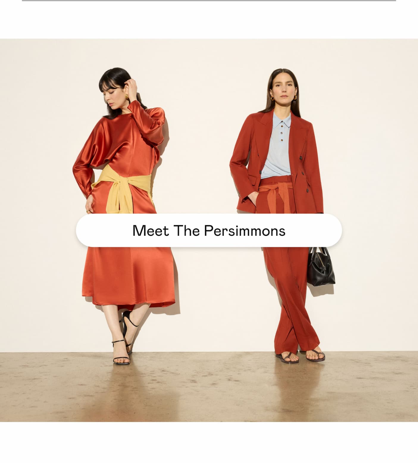 Meet The Persimmons
