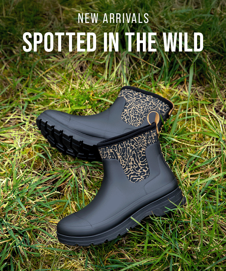 NEW ARRIVALS SPOTTED IN THE WILD
