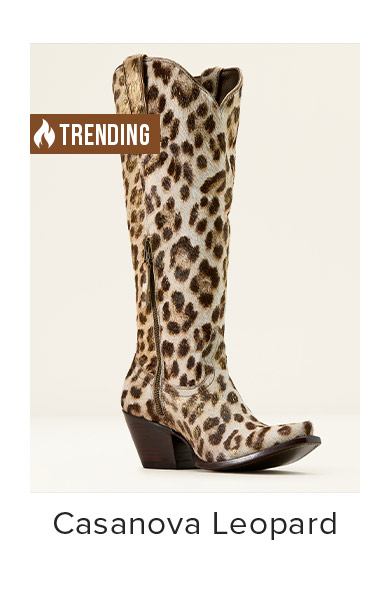 Casanova Leopard