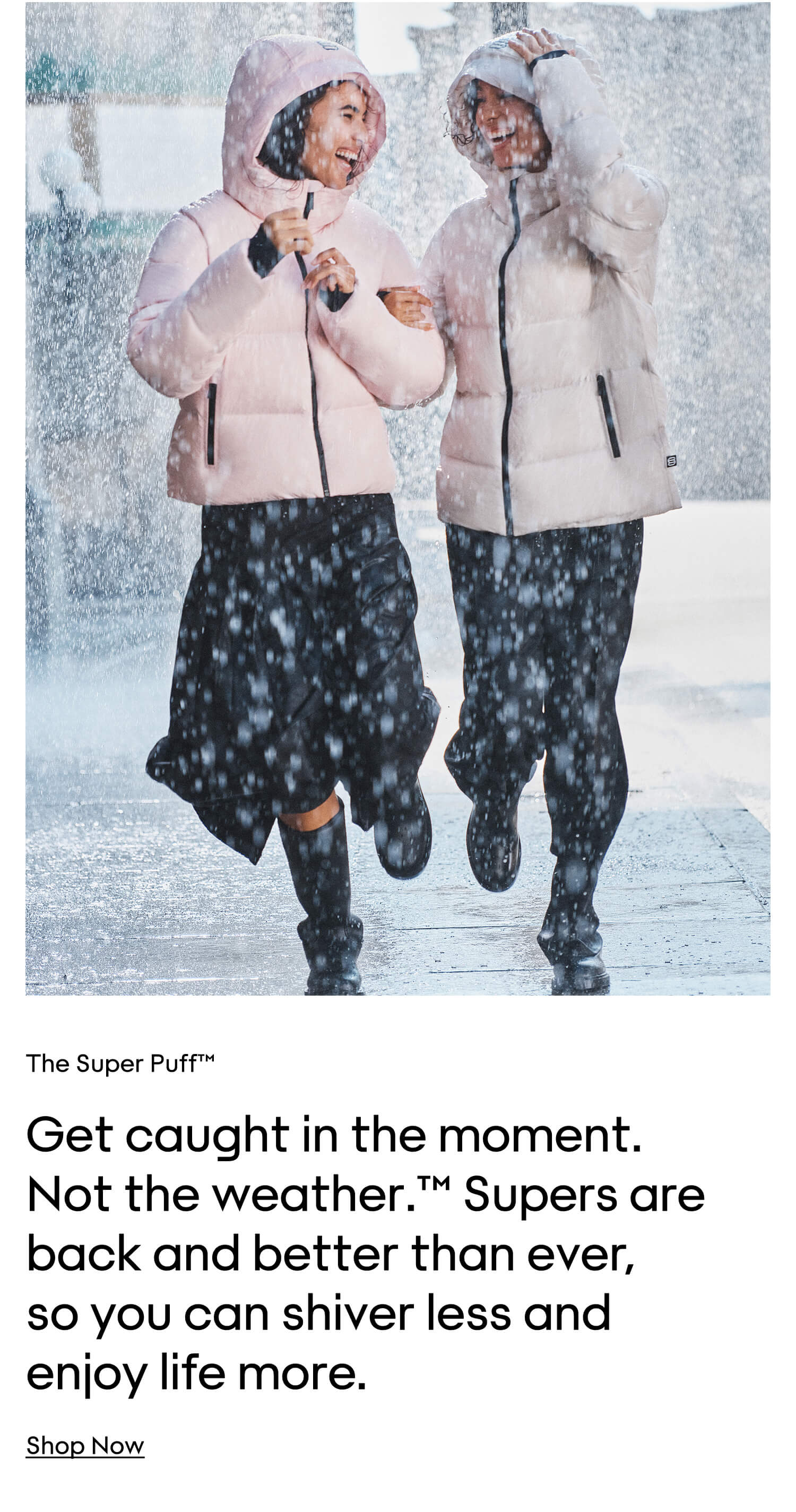 SHOP NOW